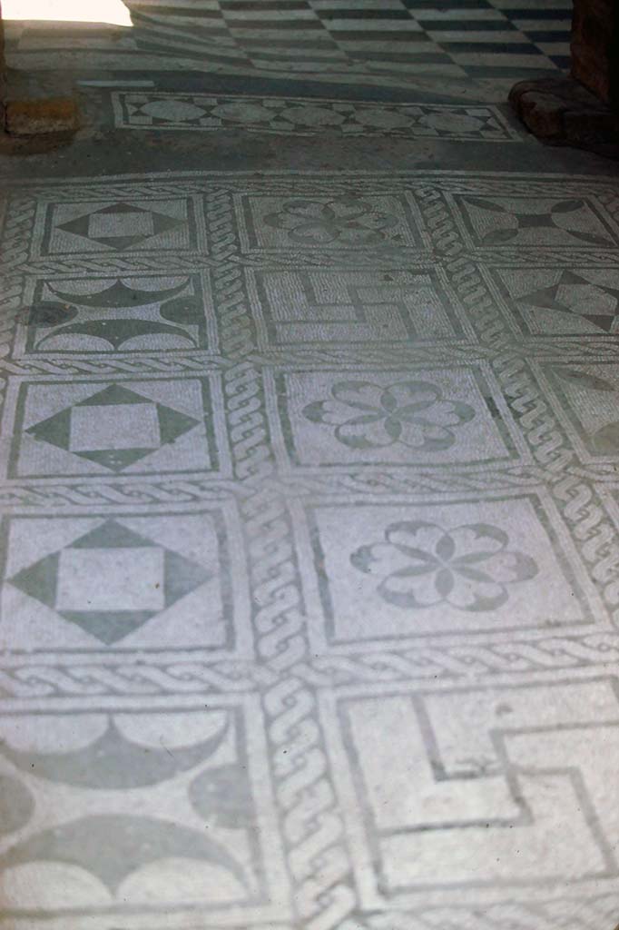 IV.2 Herculaneum, 7th August 1976. Mosaic in entrance corridor.
Photo courtesy of Rick Bauer, from Dr George Fay’s slides collection.